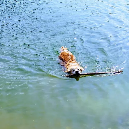 Mt Ranzer بيت للعطل