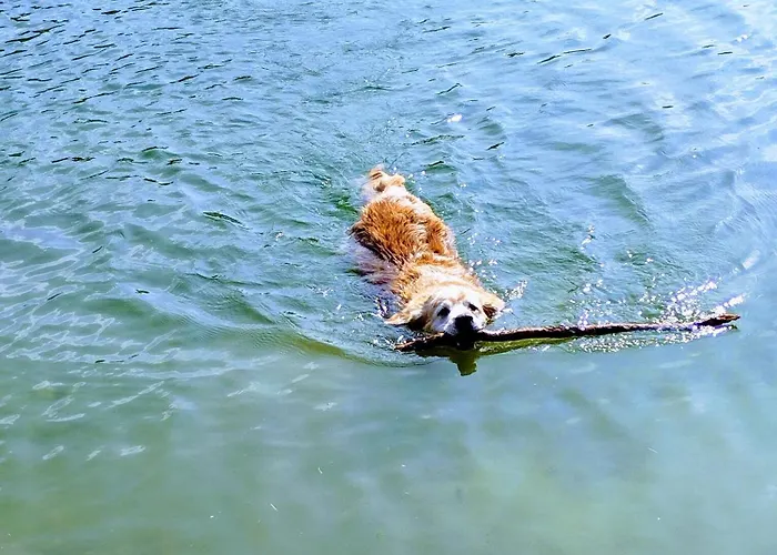 Mt Ranzer بيت للعطل